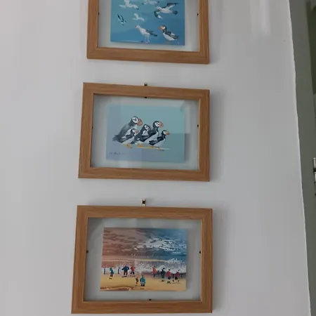 Prázdninový dům Rose Killarney